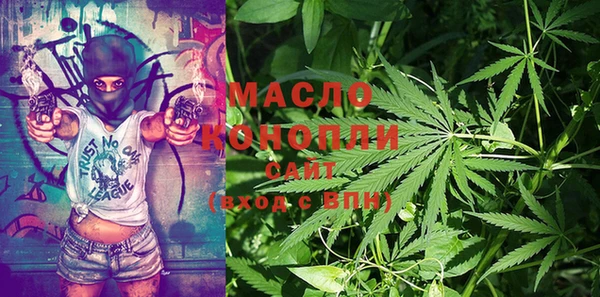 индика Наволоки